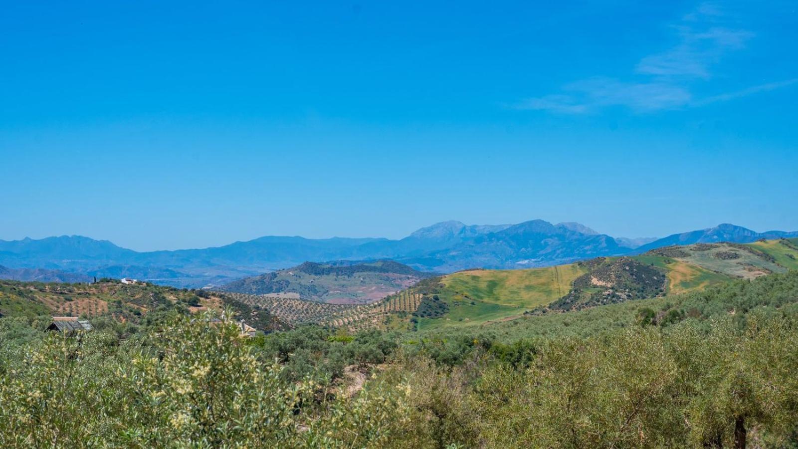 Alma Del Tejar Antequera La Higuera By Ruralidays Βίλα Εξωτερικό φωτογραφία